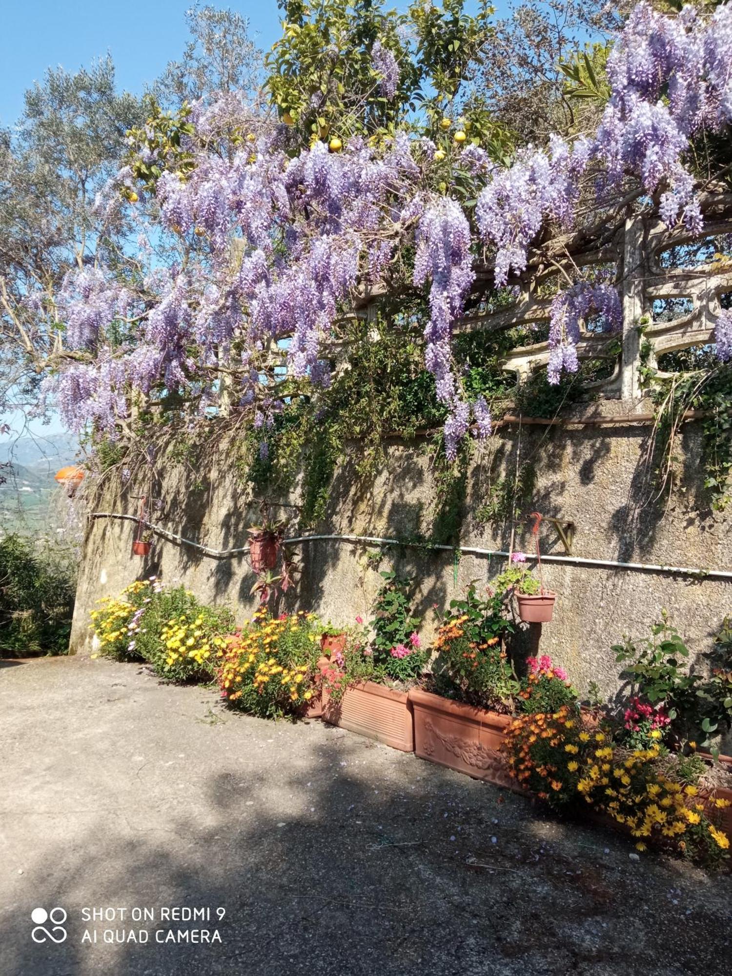 Belvedere Di Caiazzo Exterior foto